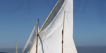 Programa Trobades 2021