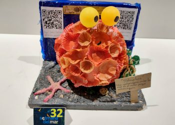 ‘Els Intergalàctics’ de S’Olivera ganan el concurso de acceso de la XXVIII ‘Setmana del Mar’, con ‘S’Oliespitosa’