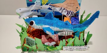 Una tintorera creada por alumnos del CEIP Guillem de Mongrí gana el concurso de acceso de la ‘Setmana del Mar’