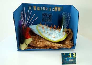 ‘Recibranqui’, el nudibranqui creat pels alumnes del CEIP S’Olivera B, guanya el concurs d’accés de la XXXI ‘Setmana del Mar’