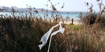 És Nàutic participa en la XXII edició de ‘Sant Antoni Net a Fons’, on s’han retirat 2,5 tones de residus