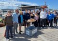 La tortuga Elo es devuelta a la bahía de Portmany tras restablecerse de sus heridas en el Palma Aquarium