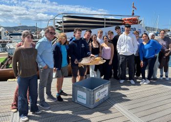 La tortuga Elo es devuelta a la bahía de Portmany tras restablecerse de sus heridas en el Palma Aquarium