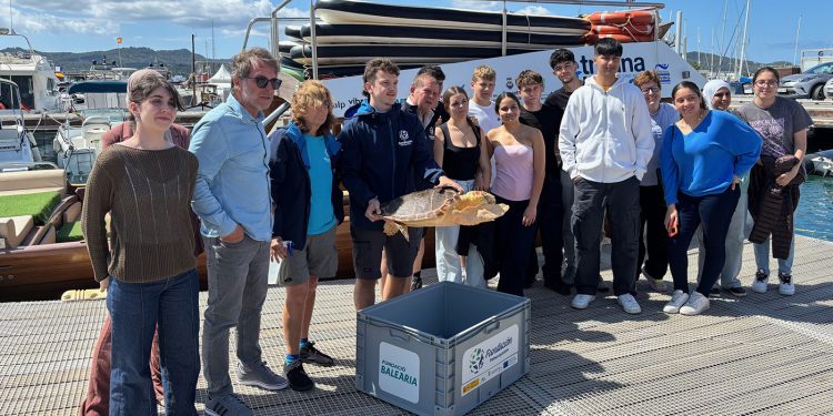 La tortuga Elo es devuelta a la bahía de Portmany tras restablecerse de sus heridas en el Palma Aquarium